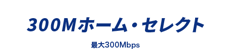 300メガホーム・セレクト 最大300Mbps