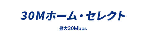 30メガホーム・セレクト 最大30Mbps
